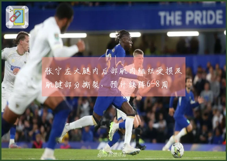 张宁左大腿内后部肌肉组织受损及肌腱部分撕裂，预计缺阵6-8周